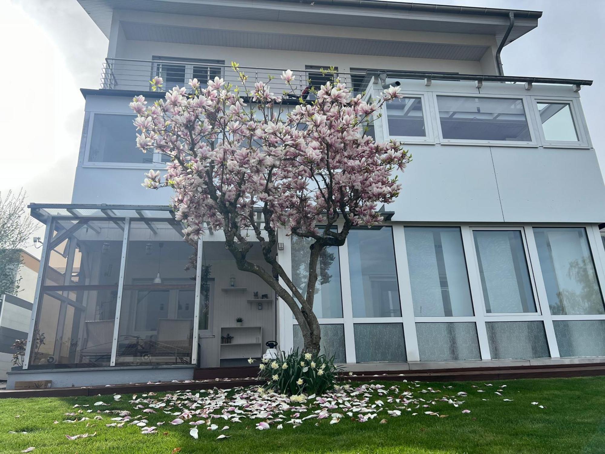 Ferienwohnung Schwarzwald Lodge Schömberg Eksteriør billede