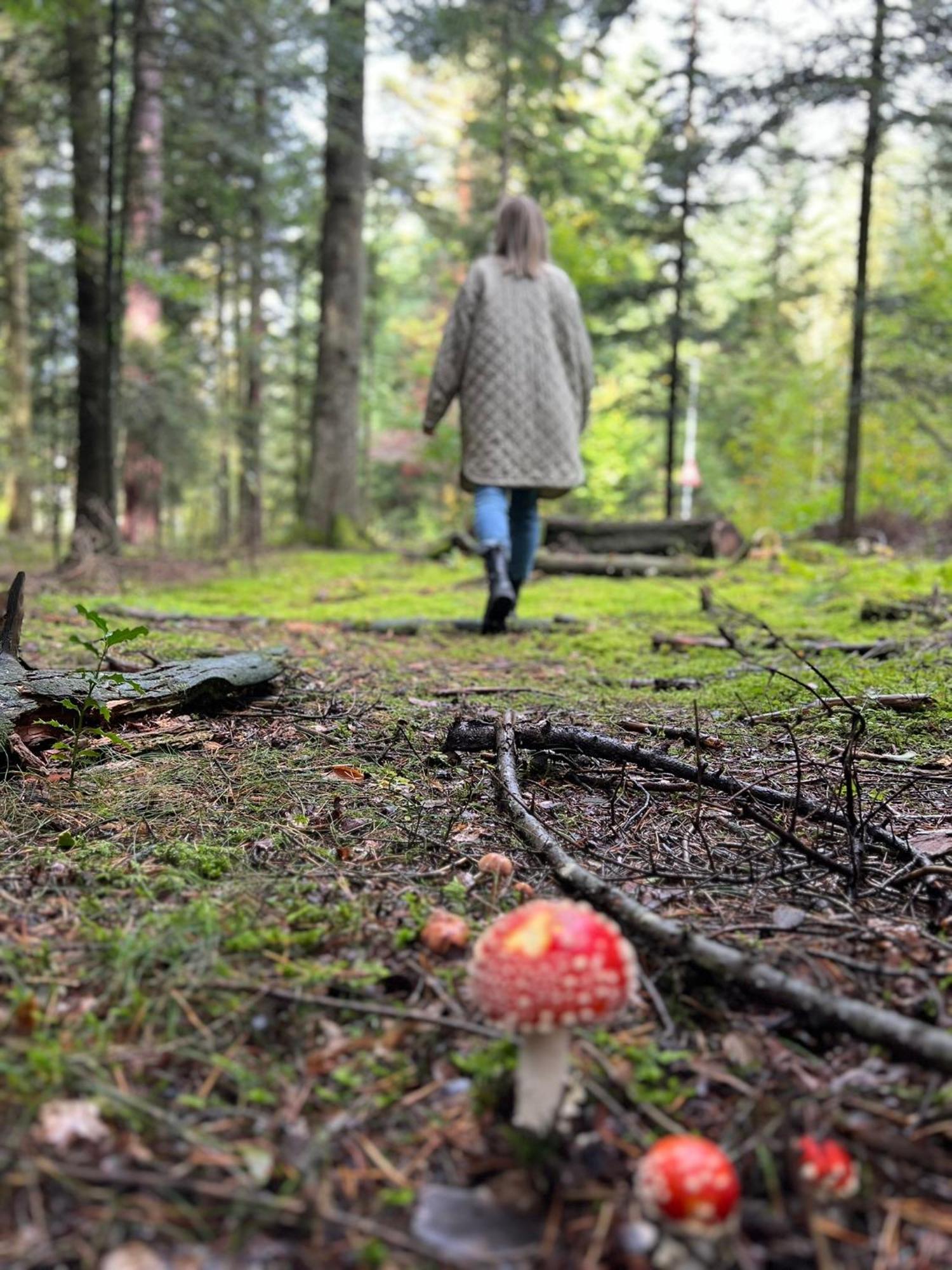 Ferienwohnung Schwarzwald Lodge Schömberg Eksteriør billede
